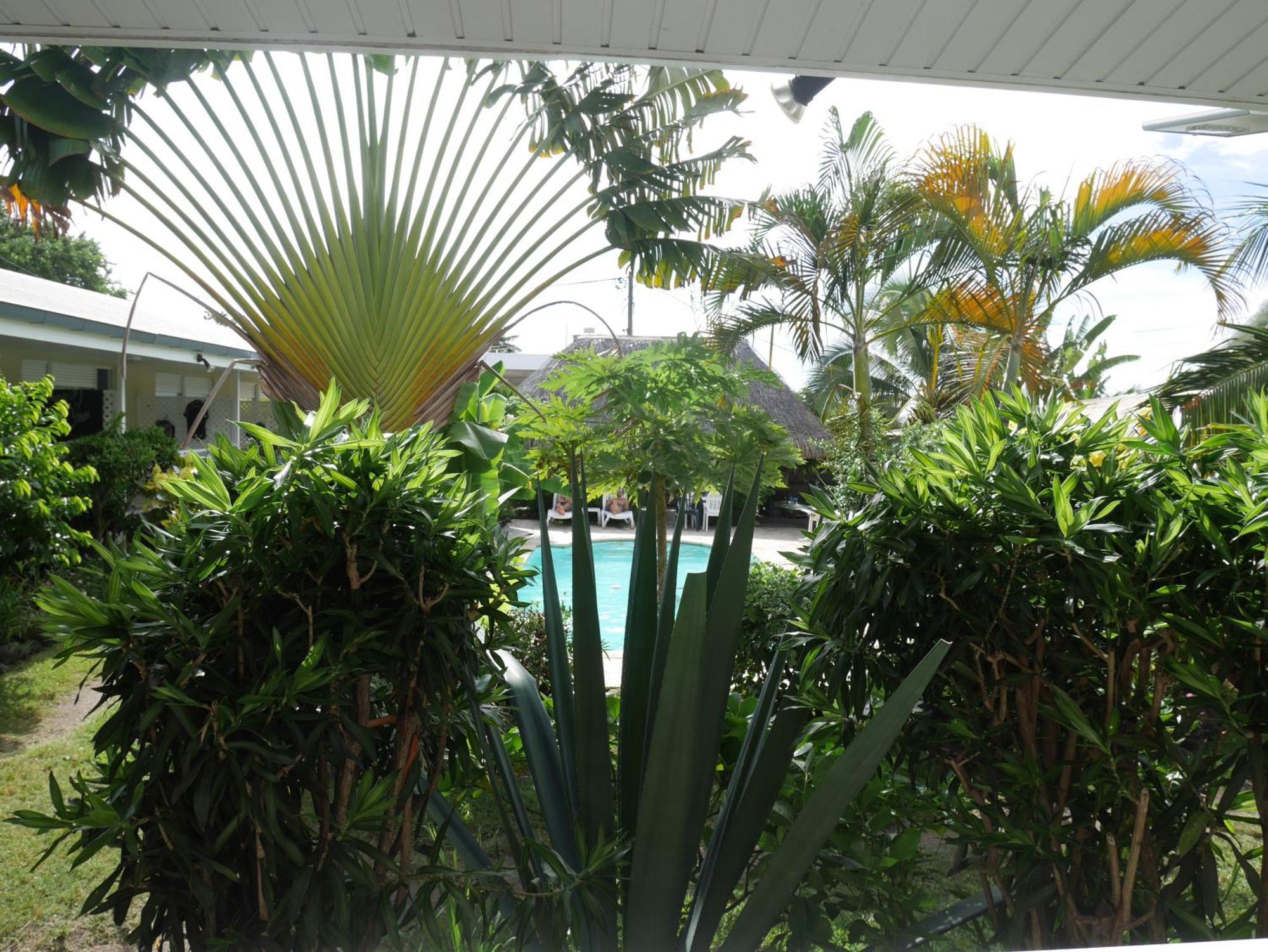 Pension De La Plage Punaauia  Camera foto